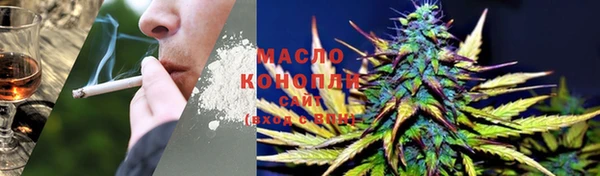 стаф Няндома