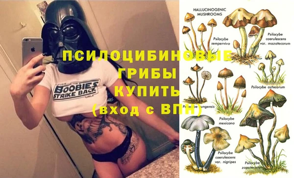 стаф Няндома