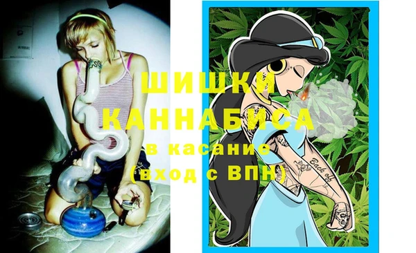 стаф Няндома