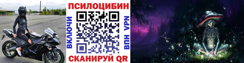 что такое наркотик  Туринск  Псилоцибиновые грибы MAGIC MUSHROOMS 